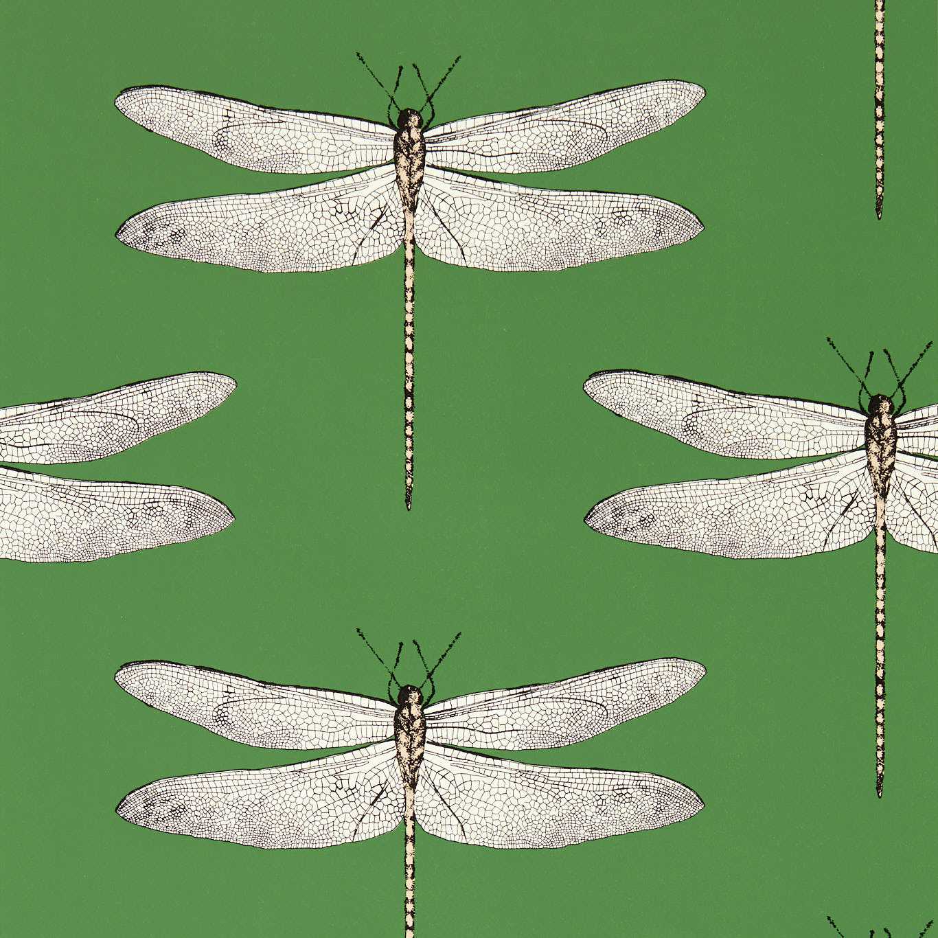 Demoiselle Wallpaper - Kelly/First Light/Blush - Harlequin - HRTW113143 - Morris Wallpaper