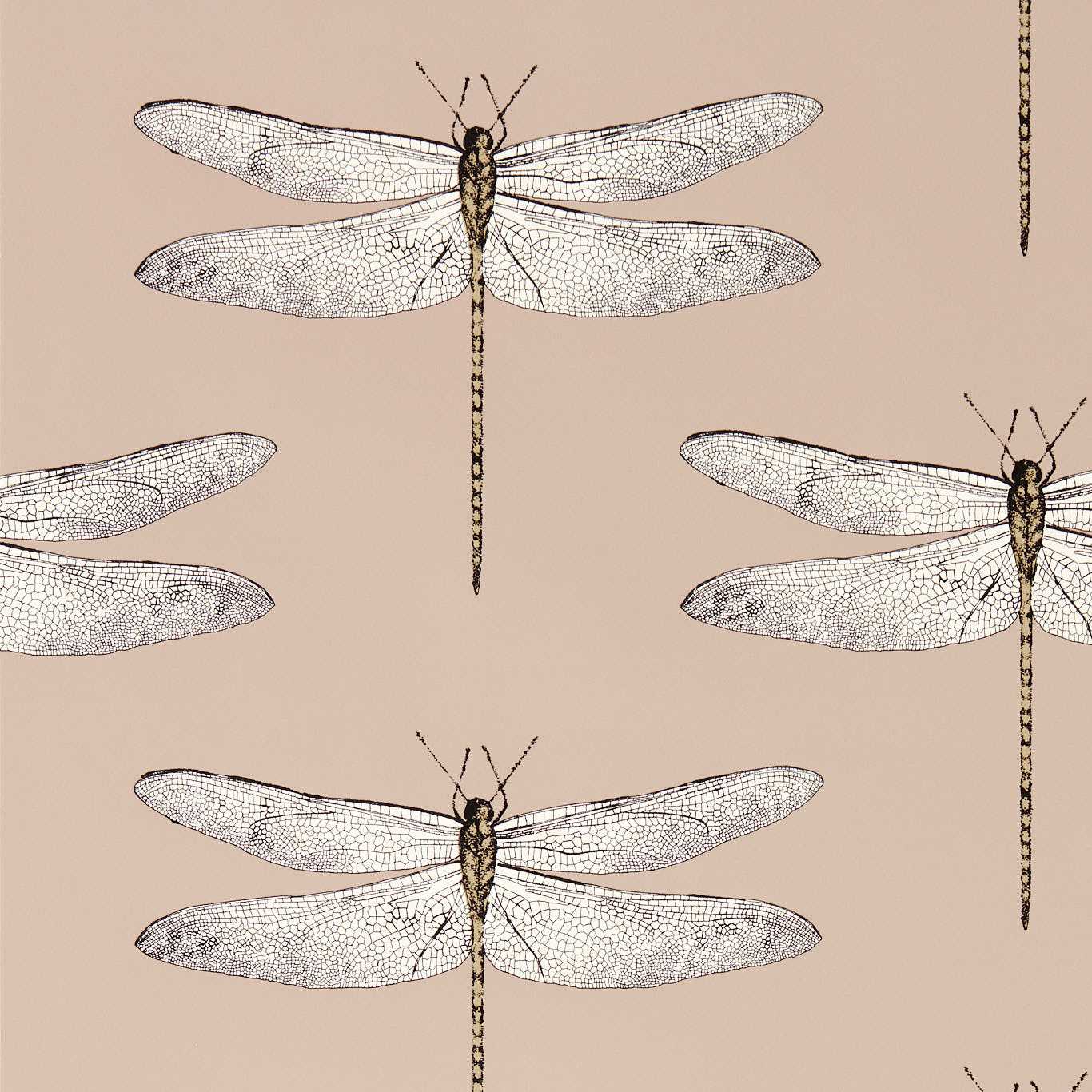 Demoiselle Wallpaper - Positano/First Light/Taupe - Harlequin - HRTW113142 - Morris Wallpaper