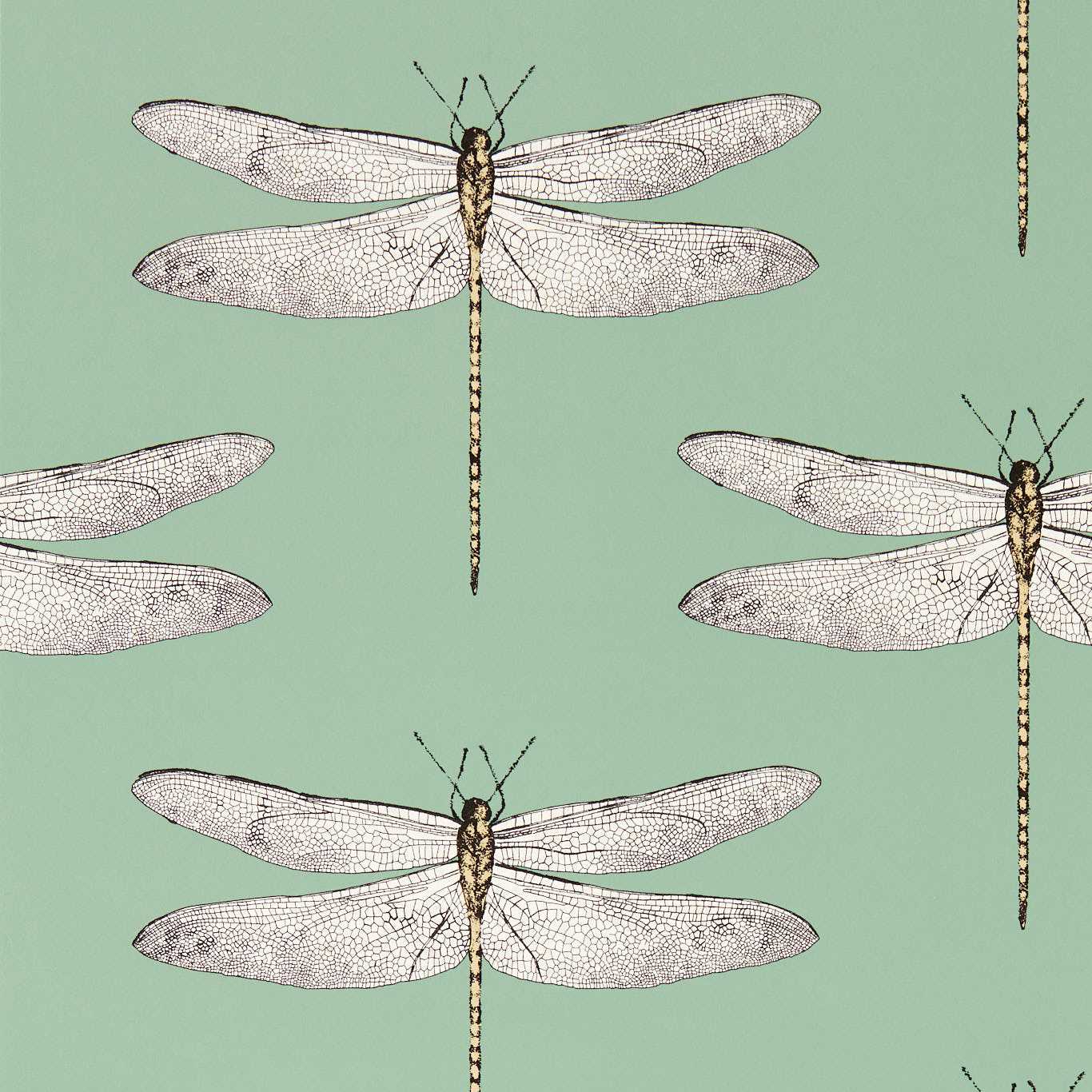 Demoiselle Wallpaper - Seaglass/First Light/Sand - Harlequin - HRTW113145 - Morris Wallpaper