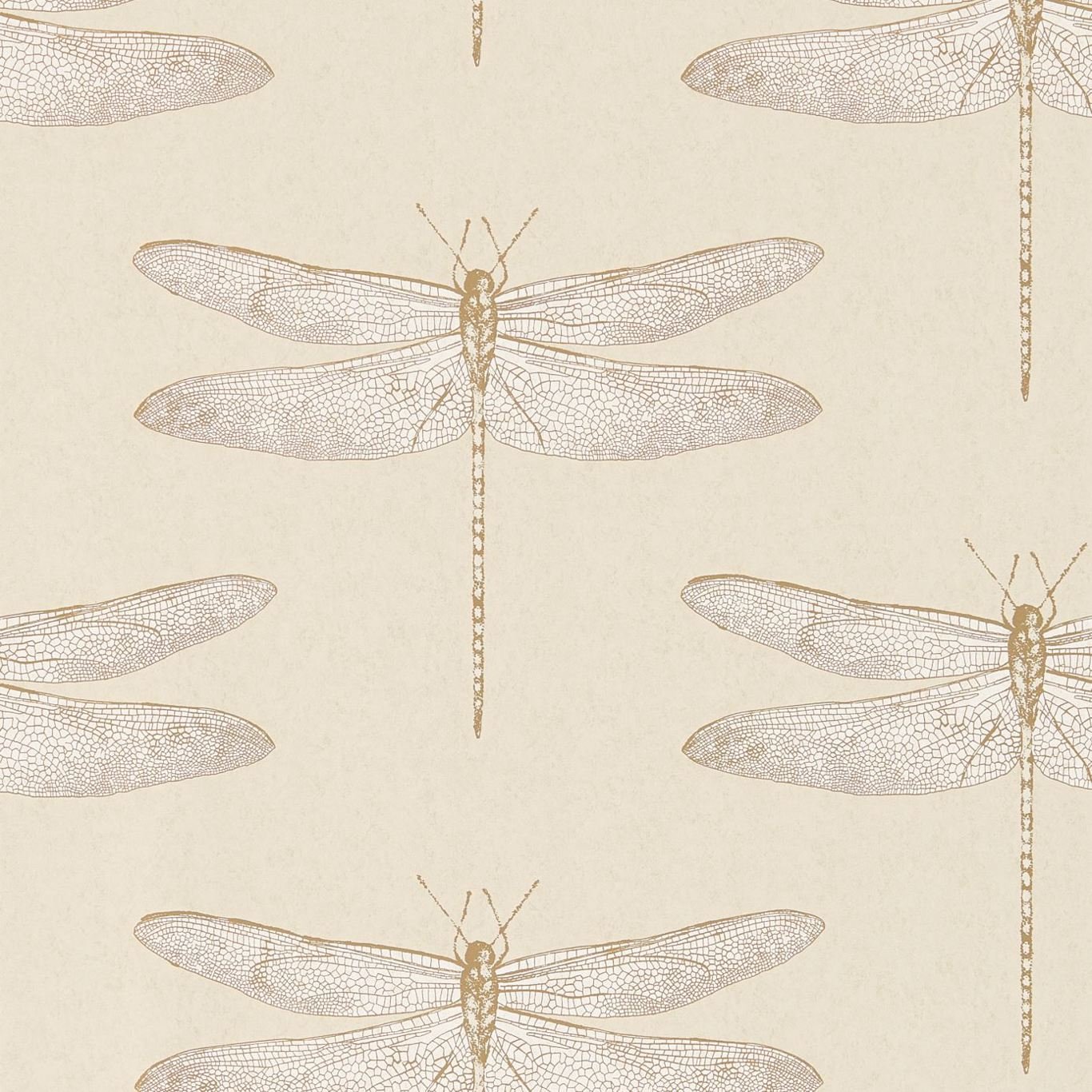 Demoiselle Wallpaper - Shell - Harlequin - HGAT111239 - Morris Wallpaper