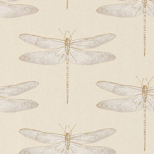 Demoiselle Wallpaper - Shell - Harlequin - HGAT111239 - Morris Wallpaper