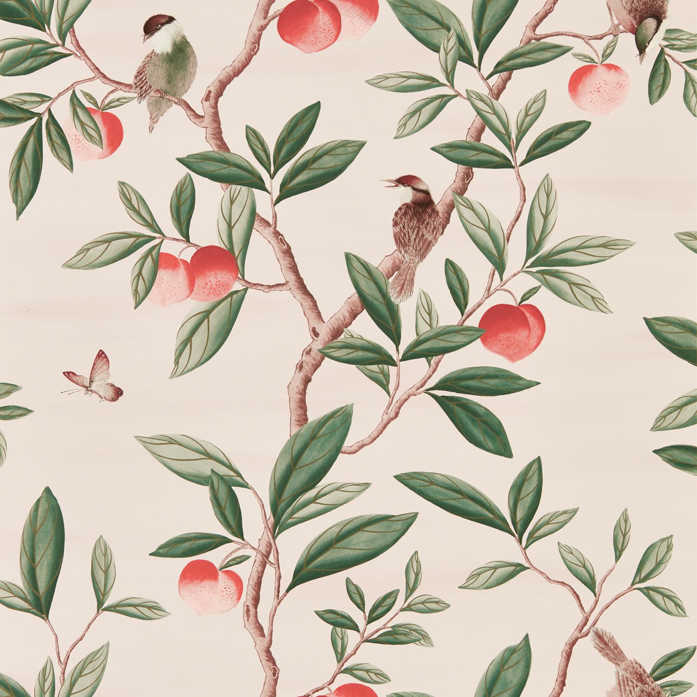 Ella Wallpaper - Powder/ Sage / Peach - Harlequin - HDHW112907 - Morris Wallpaper