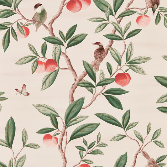 Ella Wallpaper - Powder/ Sage / Peach - Harlequin - HDHW112907 - Morris Wallpaper