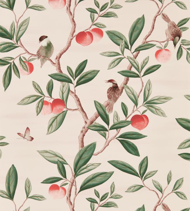 Ella Wallpaper - Powder/ Sage / Peach - HDHW112907 - Harlequin - Morris Wallpaper