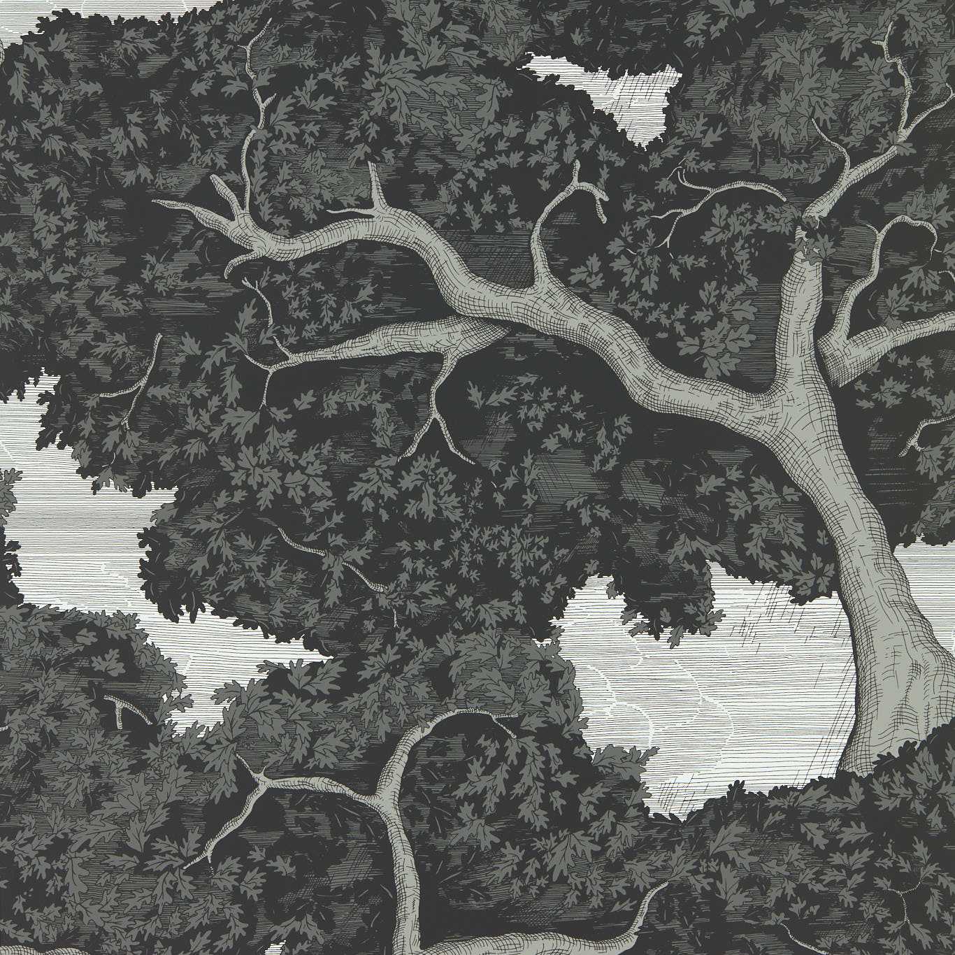 Eternal Oak Wallpaper - Ebony/First Light - Harlequin - HC4W113040 - Morris Wallpaper