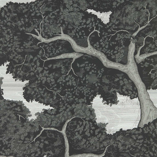 Eternal Oak Wallpaper - Ebony/First Light - Harlequin - HC4W113040 - Morris Wallpaper