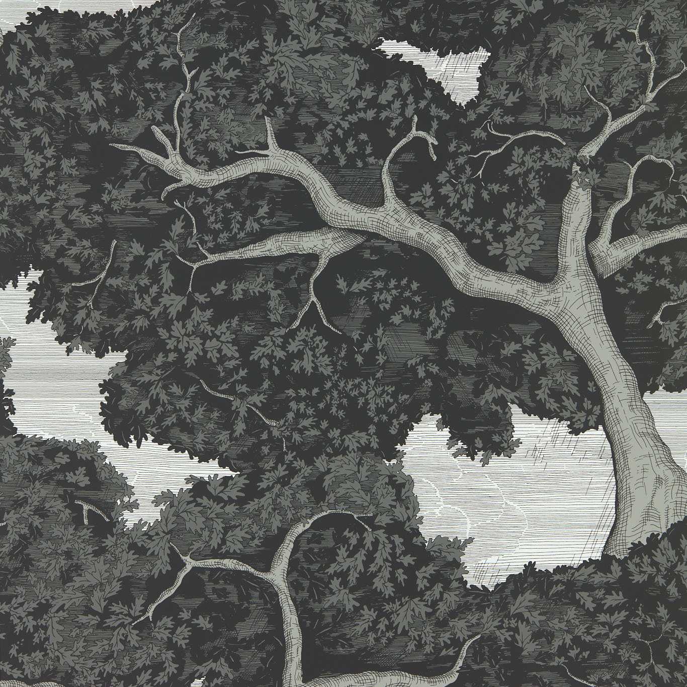 Eternal Oak Wallpaper - Ebony/First Light - HC4W113040 - Harlequin - Morris Wallpaper