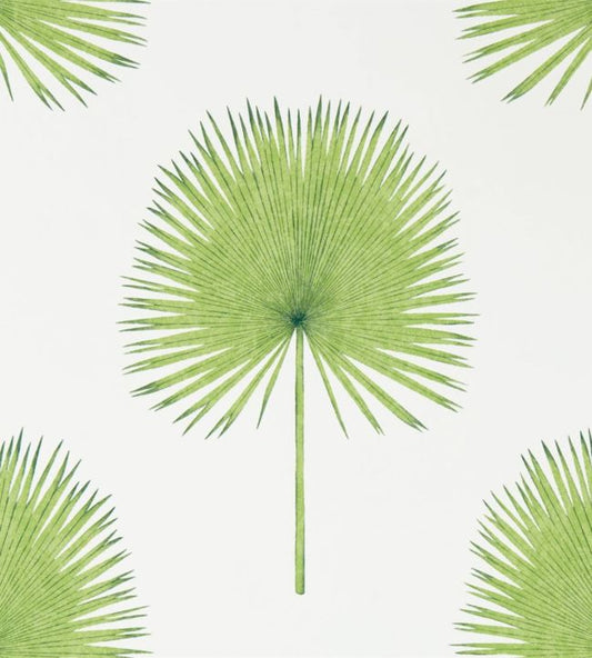 Fan Palm Wallpaper - Botanical Green - DGLW216636 - Sanderson - Morris Wallpaper