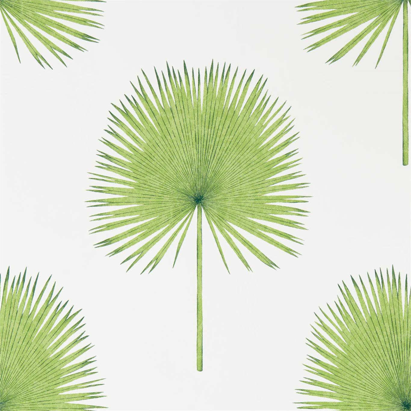 Fan Palm Wallpaper - Botanical Green - Sanderson - DGLW216636