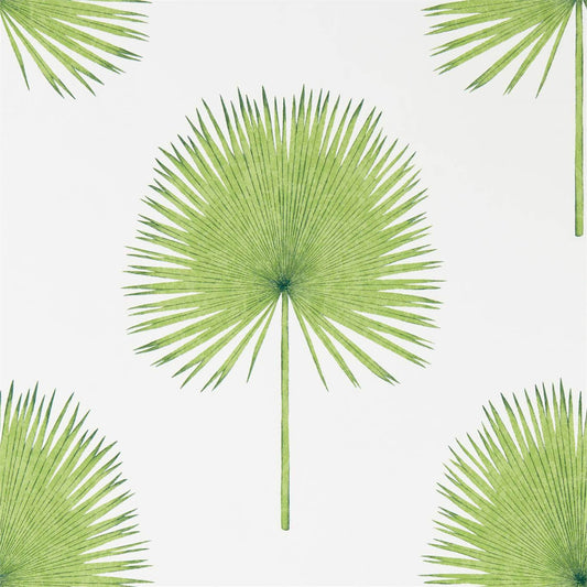 Fan Palm Wallpaper - Botanical Green - Sanderson - DGLW216636