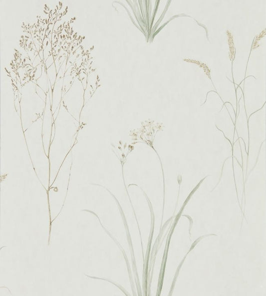 Farne Grasses Wallpaper - Willow/Pebble - DEBB216488 - Sanderson - Morris Wallpaper