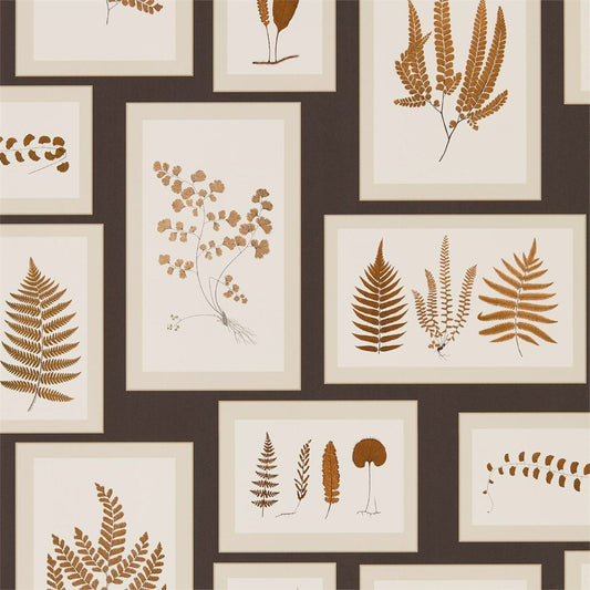 Fern Gallery Wallpaper - Charcoal/Spice - DWOW215713