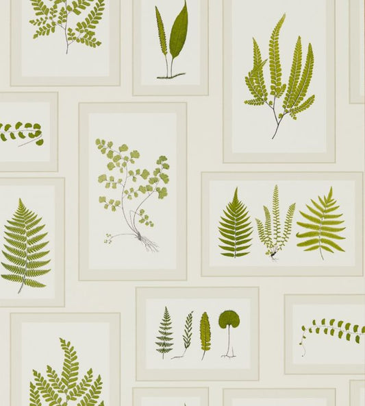 Fern Gallery Wallpaper - Ivory/Green - DWOW215712 - Sanderson - Morris Wallpaper