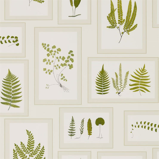 Fern Gallery Wallpaper - Ivory/Green - Sanderson - DWOW215712