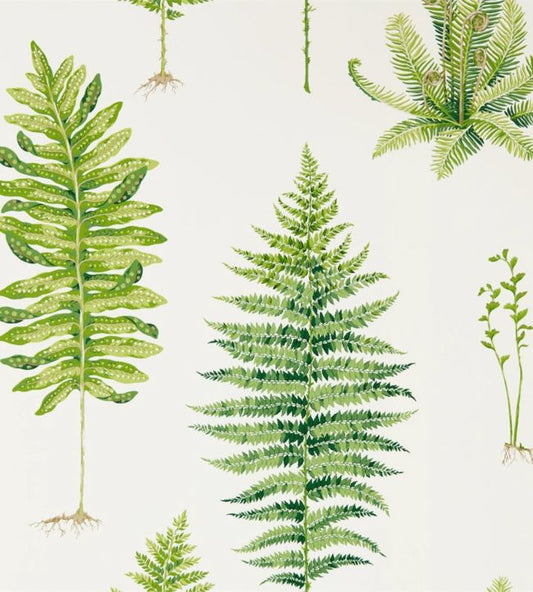 Fernery Wallpaper - Botanical Green - DGLW216633 - Sanderson - Morris Wallpaper