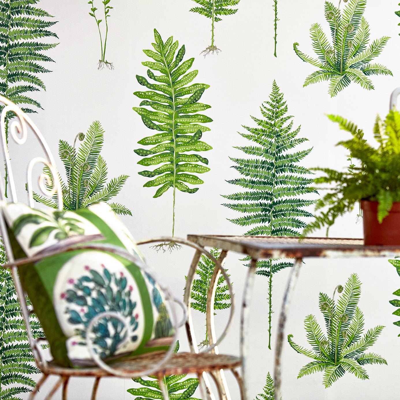 Fernery Wallpaper - Botanical Green/Charcoal - Sanderson - DGLW216634 - Morris Wallpaper