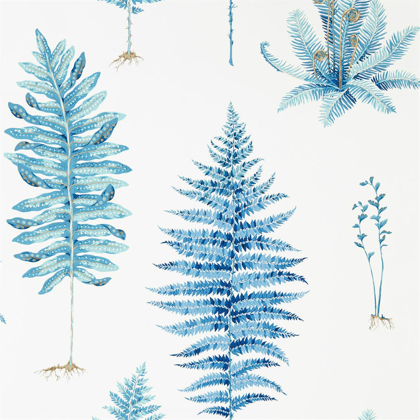 Fernery Wallpaper - China Blue - Sanderson - DGLW216635