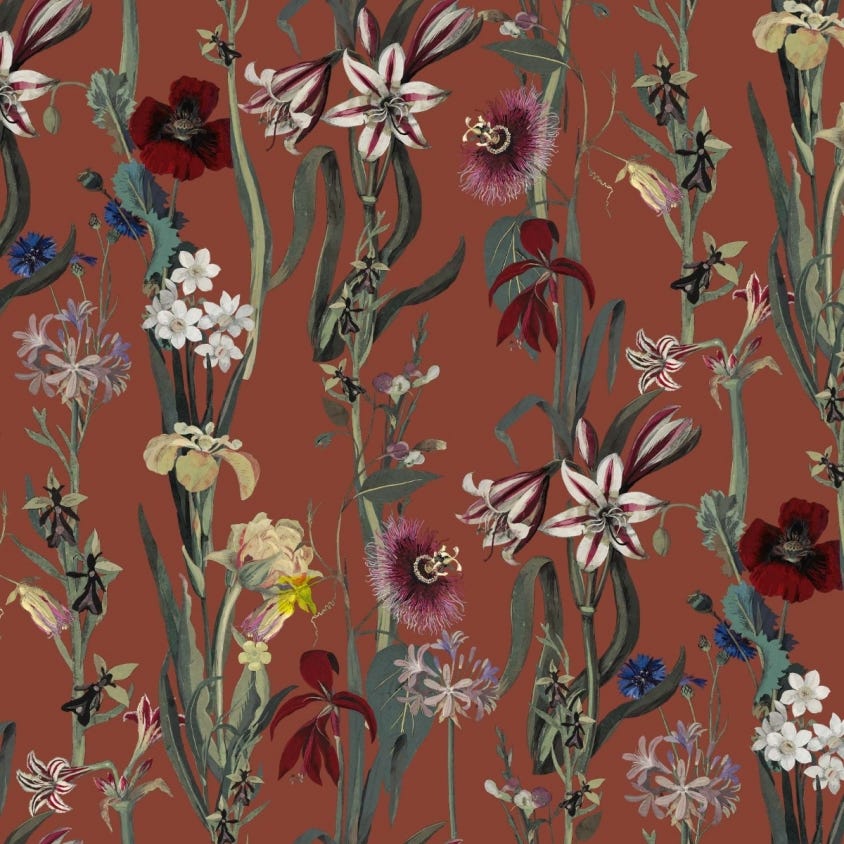Flora Delanica Wallpaper - Clay - House of Hackney - 1-WA-DEL-DI-CLA-XXX - Morris Wallpaper