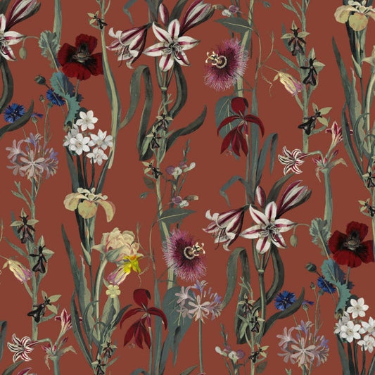 Flora Delanica Wallpaper - Clay - House of Hackney - 1-WA-DEL-DI-CLA-XXX - Morris Wallpaper