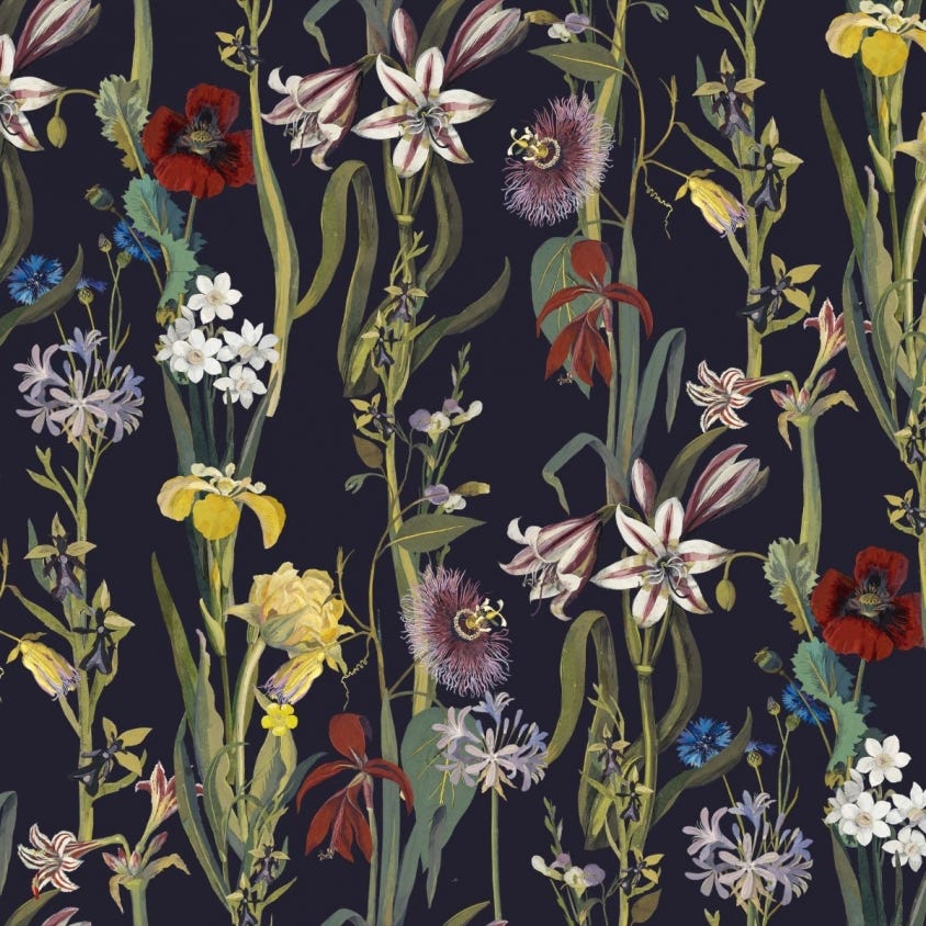 Flora Delanica Wallpaper - Midnight - House of Hackney - 1-WA-DEL-DI-MID-XXX - Morris Wallpaper