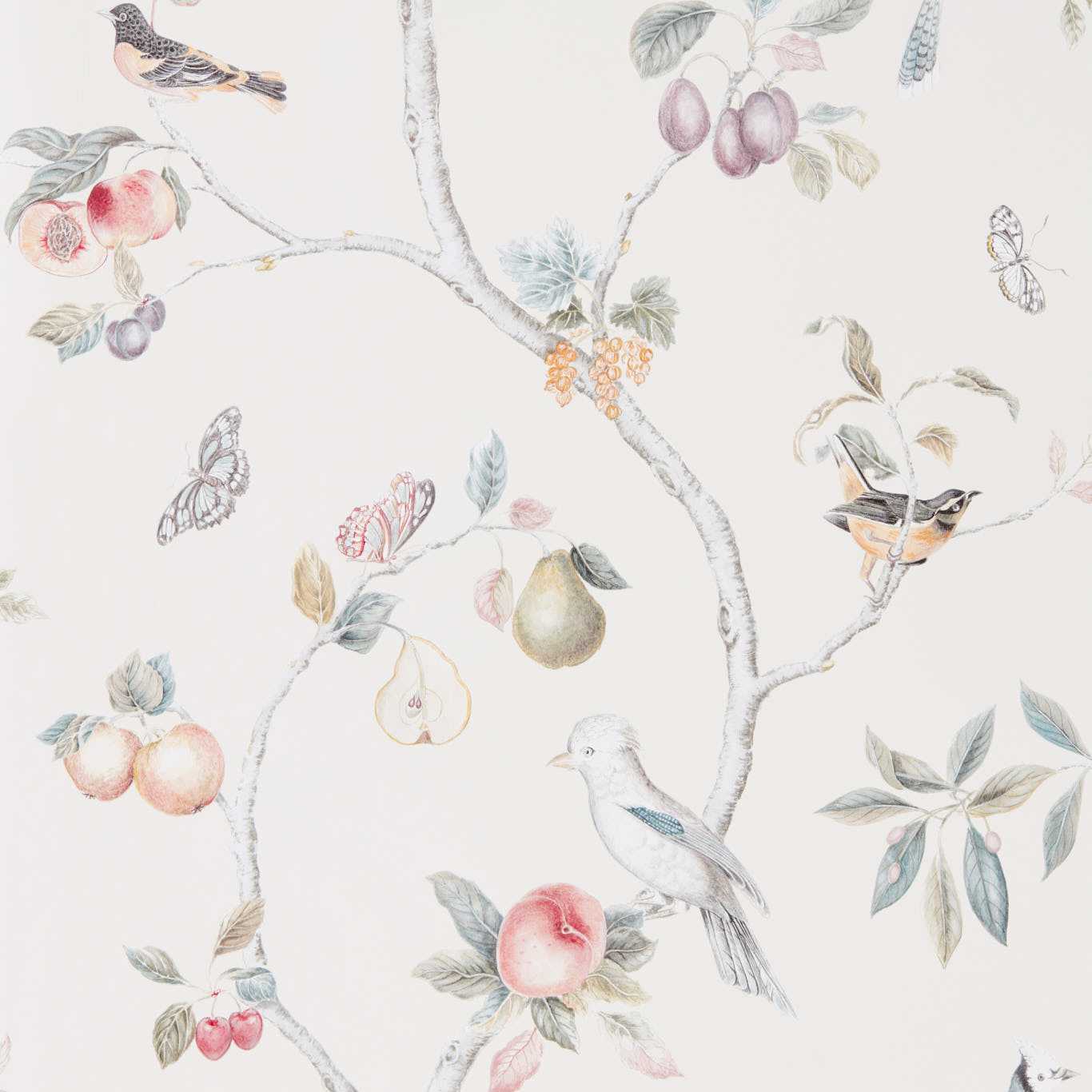 Fruit Aviary Wallpaper - Cream/Multi - Sanderson - DART216314
