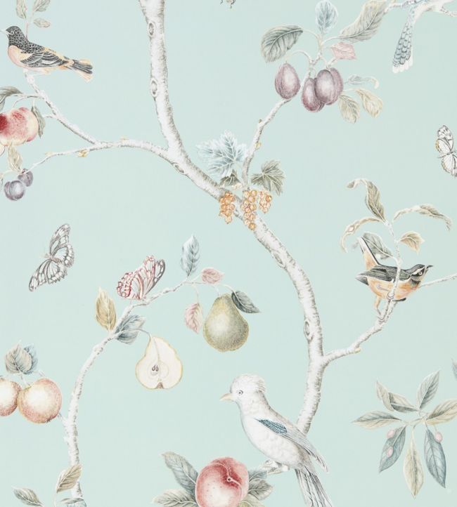 Fruit Aviary Wallpaper - Duck Egg/Multi - DART216312 - Sanderson - Morris Wallpaper