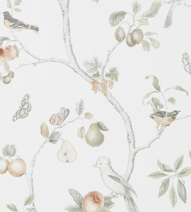 Fruit Aviary Wallpaper - Ivory/Mineral - DART216313 - Sanderson - Morris Wallpaper