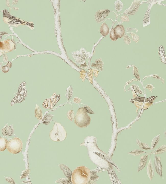 Fruit Aviary Wallpaper - Sage/Neutral - DART216311 - Sanderson - Morris Wallpaper