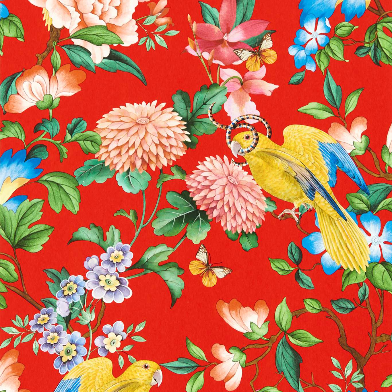 Golden Parrot Wallpaper - Coral - Clarke & Clarke - W0130/01 - Morris Wallpaper