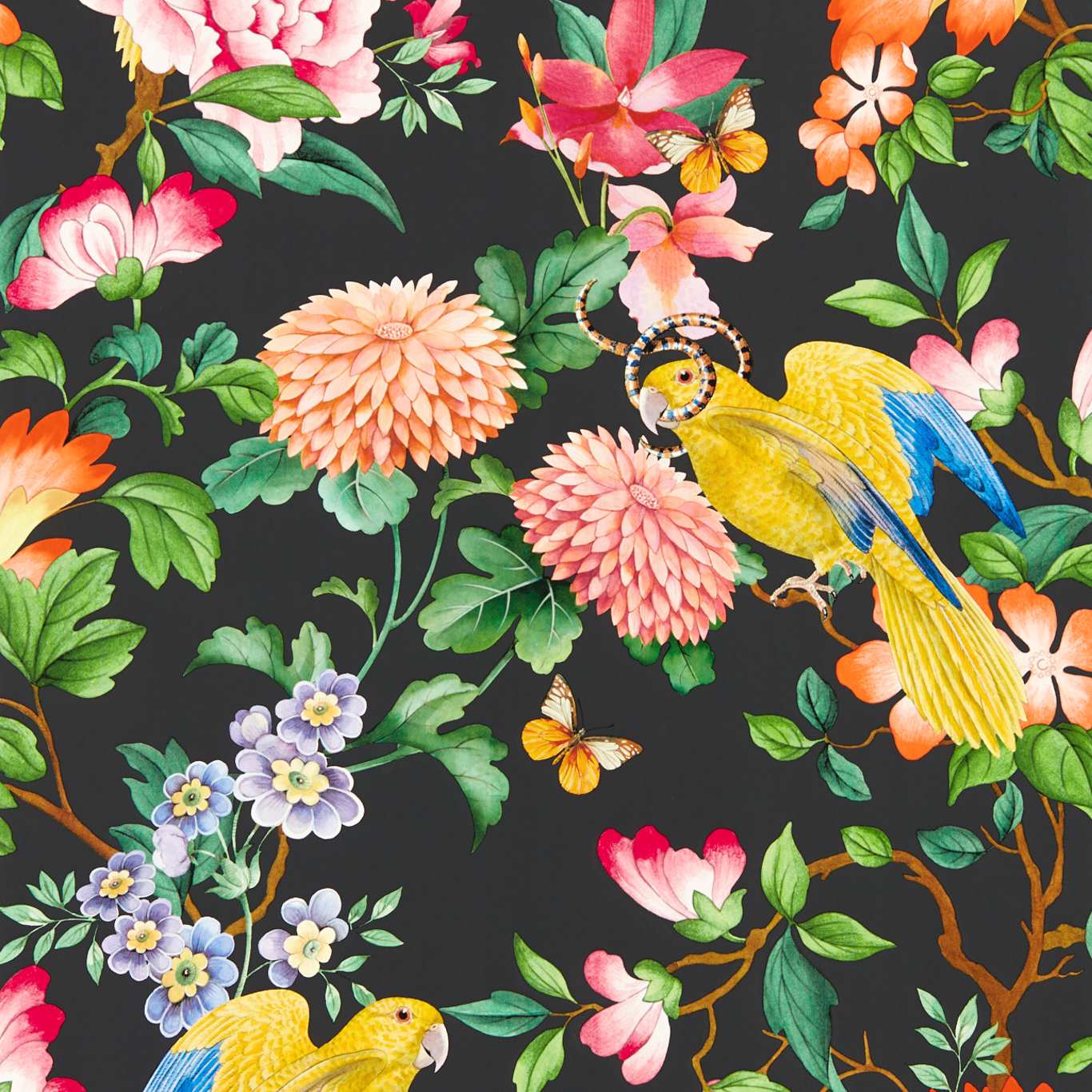 Golden Parrot Wallpaper - Noir - Clarke & Clarke - W0130/04 - Morris Wallpaper