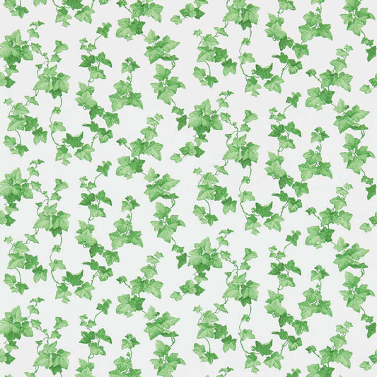 Hedera Wallpaper - Green - DVIN214593 - Sanderson