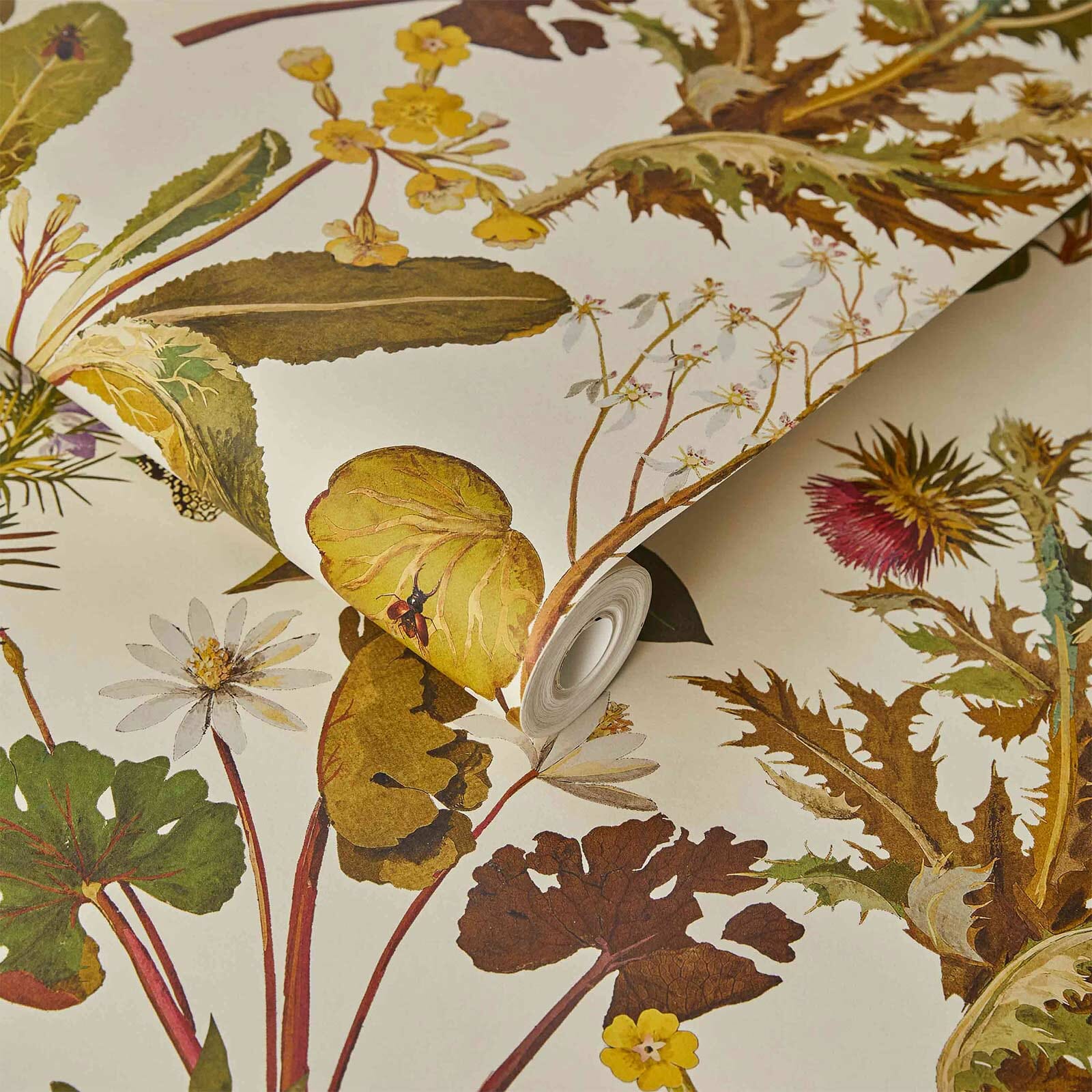Herbarium Wallpaper - Ecru - House of Hackney - 1-WA-HER-DI-ECR-XXX - Morris Wallpaper