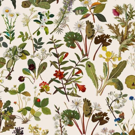 Herbarium Wallpaper - Ecru - House of Hackney - 1-WA-HER-DI-ECR-XXX - Morris Wallpaper
