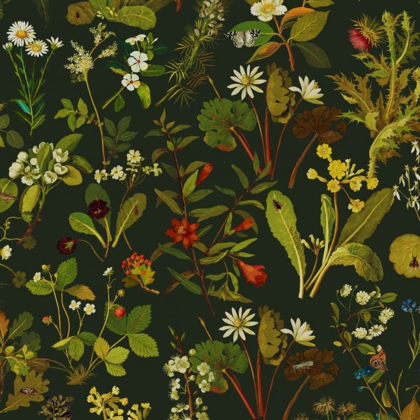 Herbarium Wallpaper - Forest-Green - House of Hackney - 1-WA-HER-DI-FOR-XXX - Morris Wallpaper