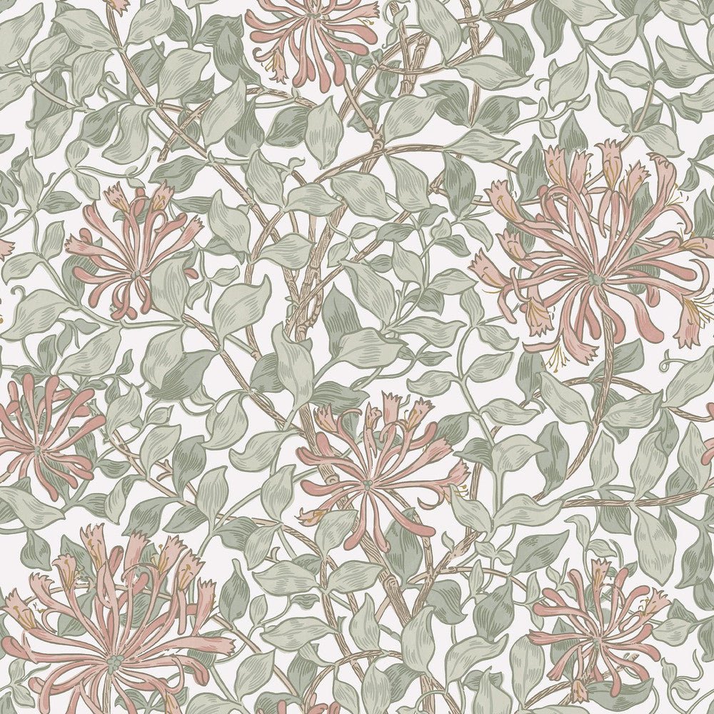 Honeysuckle Wallpaper - Lowest US Price: SALE – Morris Wallpaper