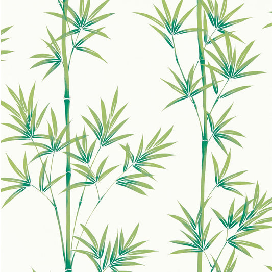Isabella Wallpaper - Porcelain/Bamboo - Harlequin - HDHW112915 - Morris Wallpaper
