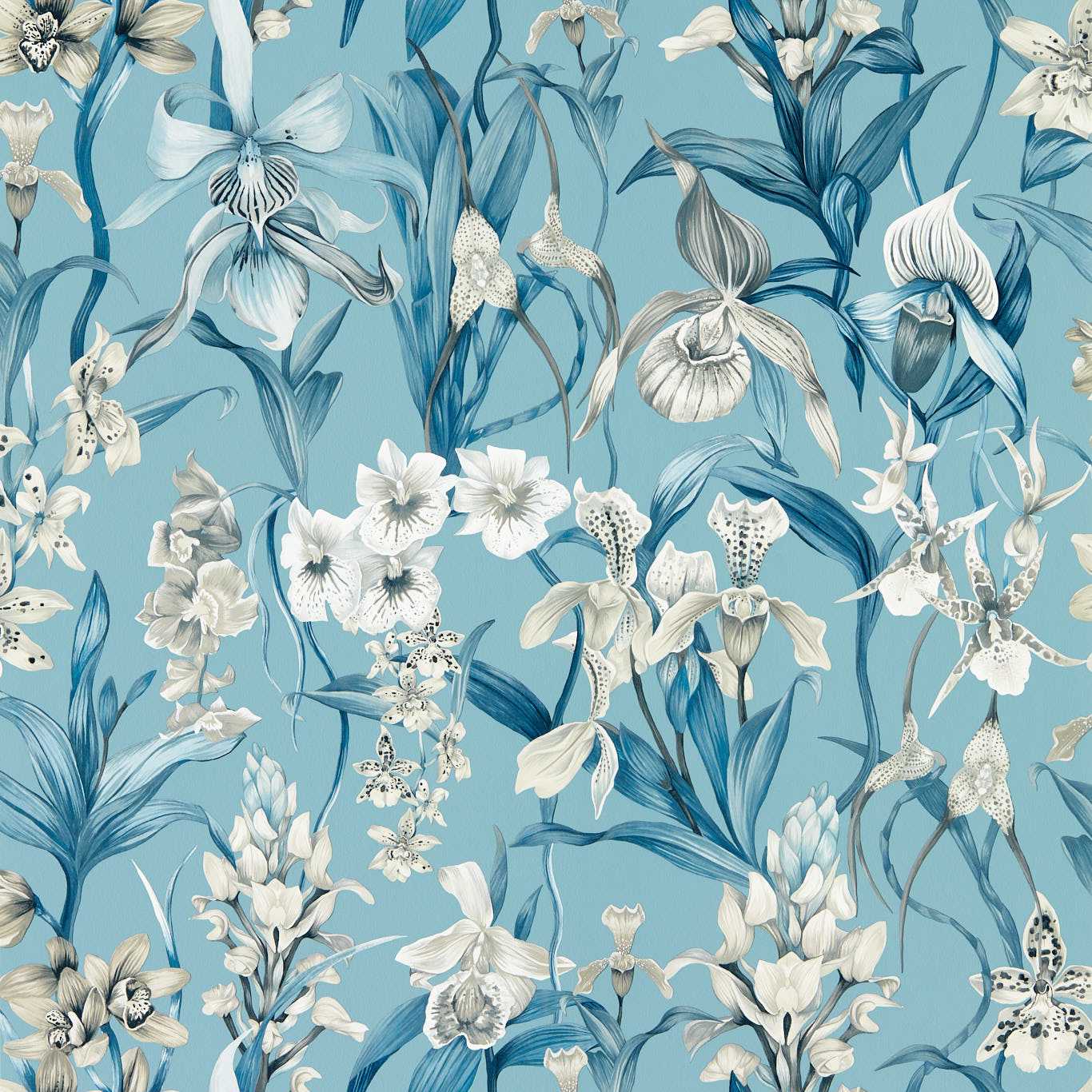 Kalina Wallpaper - Celestial/Murmuration/Awakening - Harlequin - HC4W113008 - Morris Wallpaper