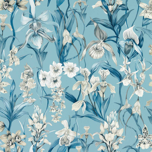 Kalina Wallpaper - Celestial/Murmuration/Awakening - Harlequin - HC4W113008 - Morris Wallpaper