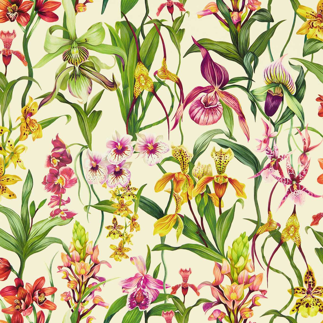 Kalina Wallpaper - Parchment/Forest/Azalea - Harlequin - HC4W113009 - Morris Wallpaper