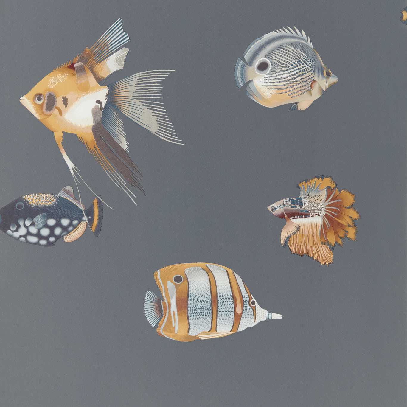 Kamanu Wallpaper - Amber/Slate - Harlequin - HANZ111648 - Morris Wallpaper