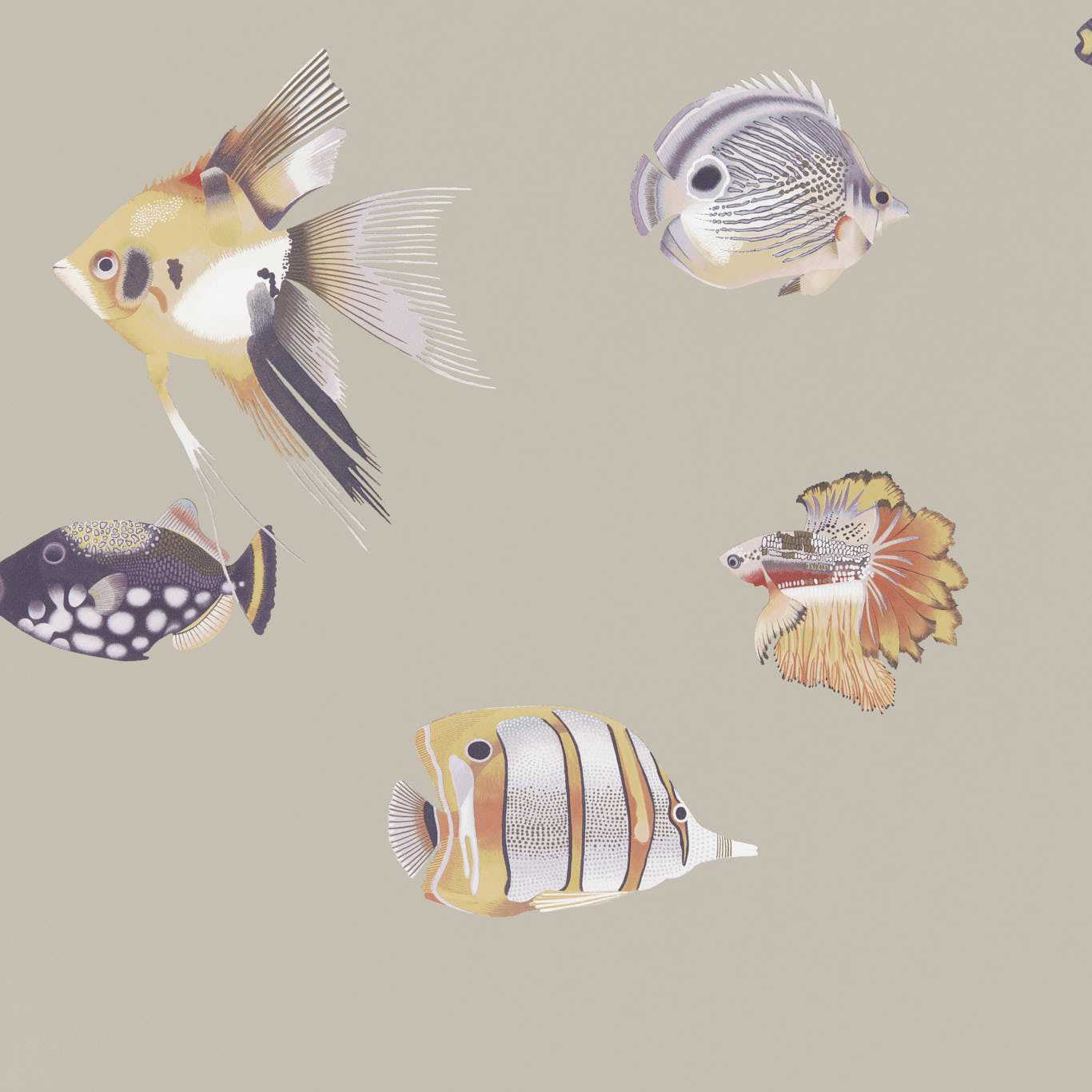 Kamanu Wallpaper - Mandarin/Fig - Harlequin - HANZ111647 - Morris Wallpaper