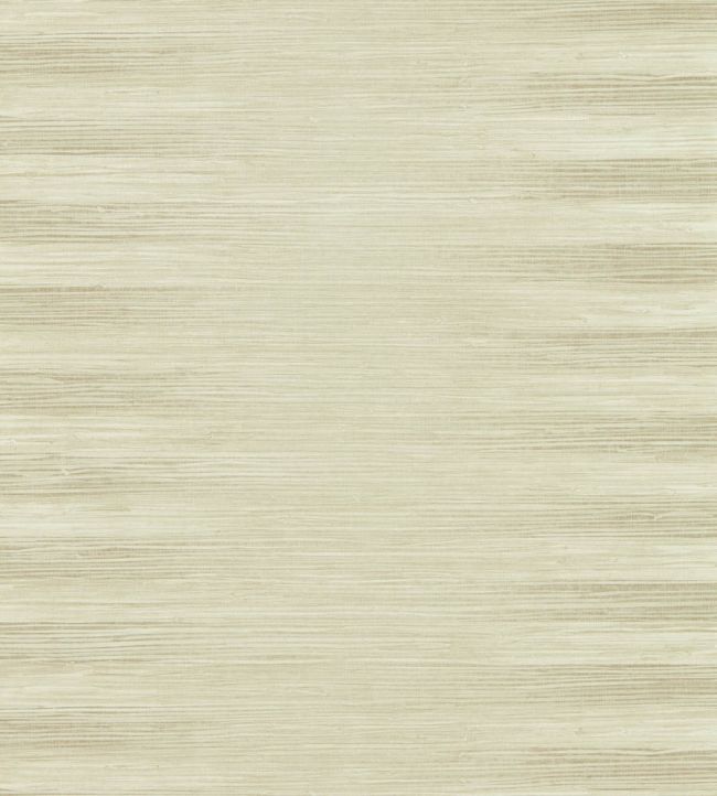 Kensington Grasscloth Wallpaper - Paris Grey - ZHIW313003 - Zoffany - Morris Wallpaper