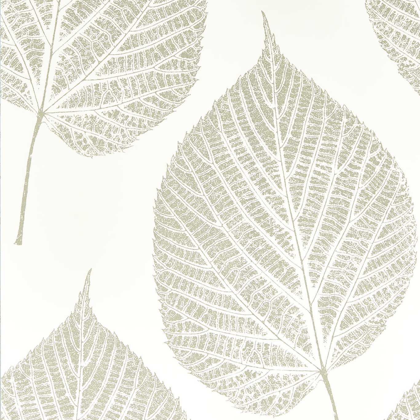 Leaf Wallpaper - Chalk/Silver - Harlequin - HTEW112609 - Morris Wallpaper