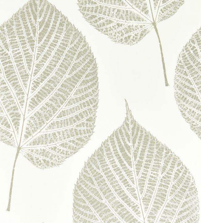 Leaf Wallpaper - Chalk/Silver - HTEW112609 - Harlequin - Morris Wallpaper