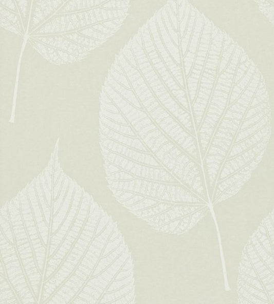 Leaf Wallpaper - Pearl/Chalk - HMOT110369 - Harlequin - Morris Wallpaper