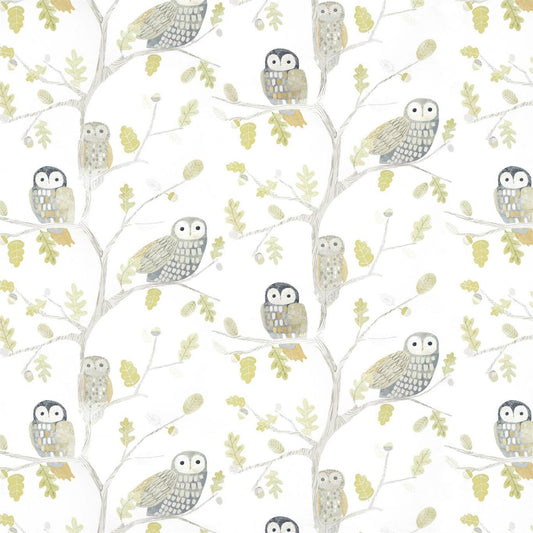 Little Owls Wallpaper - Kiwi - Harlequin - HLTF112627 - Morris Wallpaper
