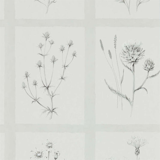Little Thistles Wallpaper - Pewter - DEBB216512