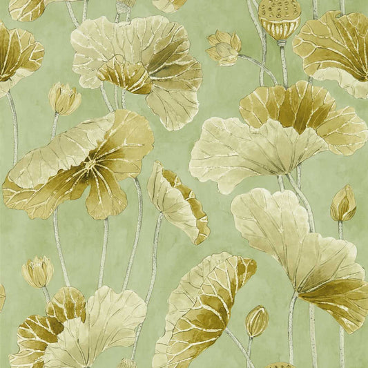 Lotus Leaf Wallpaper - Oriental Green/ Olive - DWAW217126 - Sanderson - Morris Wallpaper