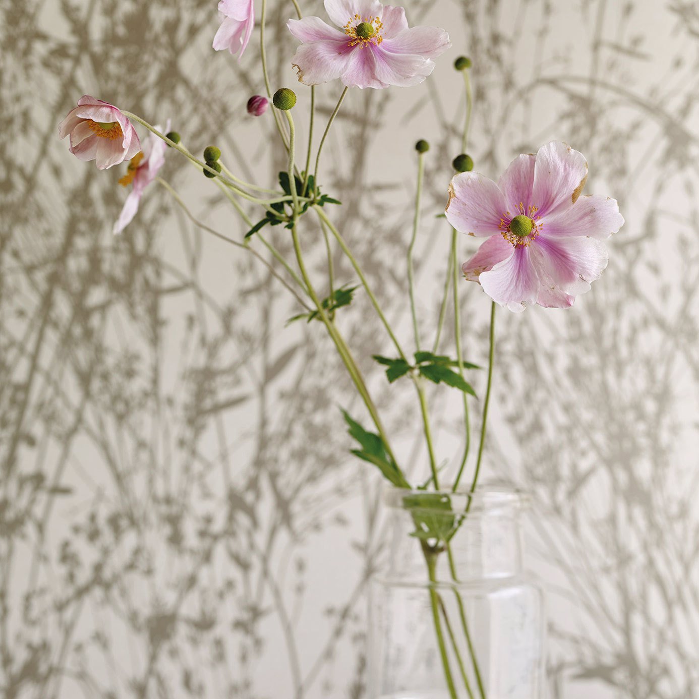 Meadow Canvas Wallpaper - White/Parchment - Sanderson - DWOW215695 - Morris Wallpaper