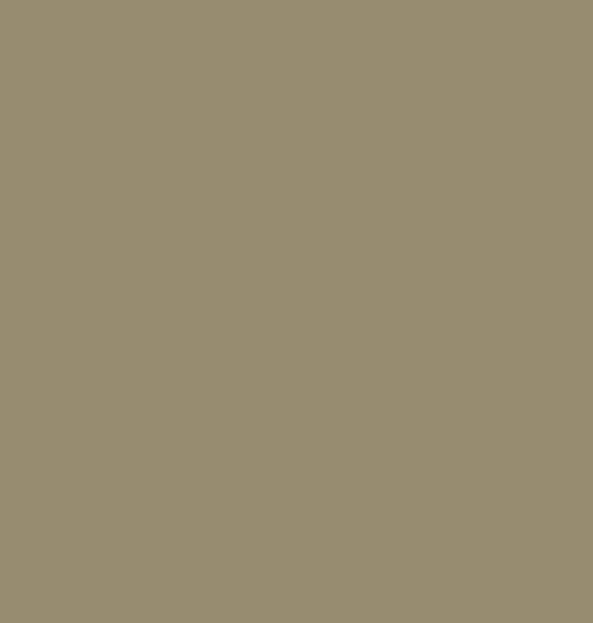 Morris & Co Paint -  Olive Fruit - Eggshell - 1 litre - Morris Wallpaper